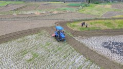 仁怀市茅坝镇官院村村平易近周显龙说